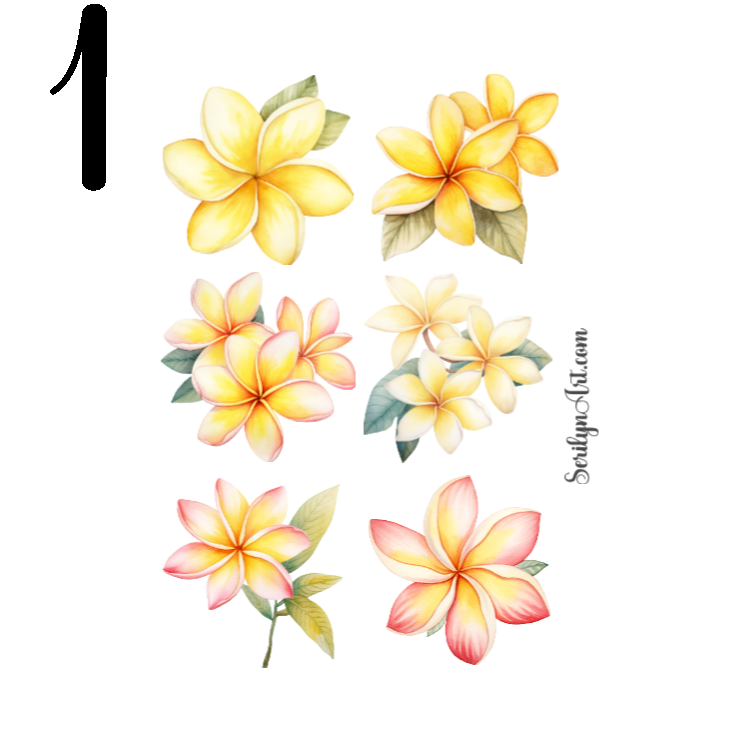 Plumeria Sticker Sheet