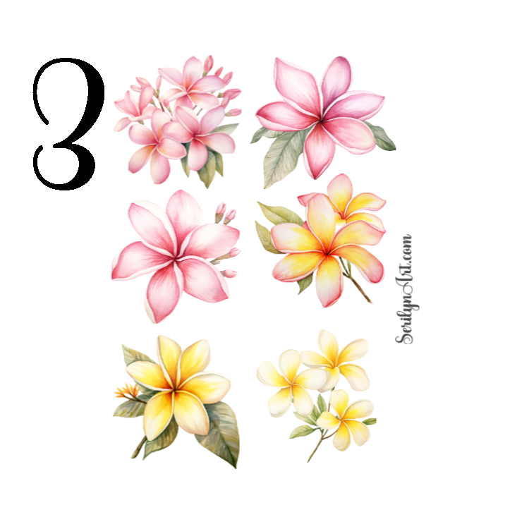 Plumeria Sticker Sheet