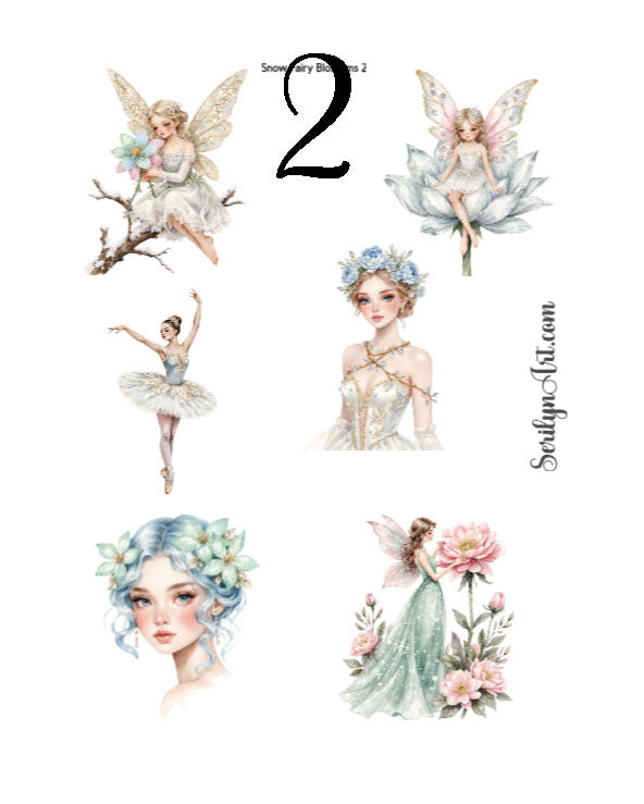Snow Fairy Blossoms