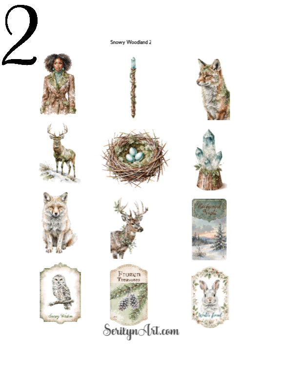 Snowy Woodland