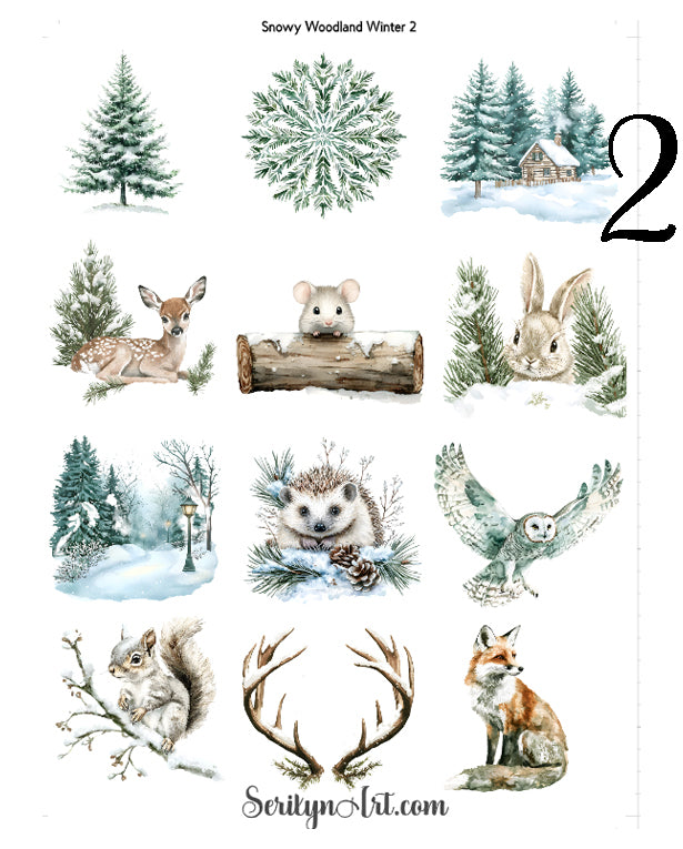 Snowy Woodland Winter