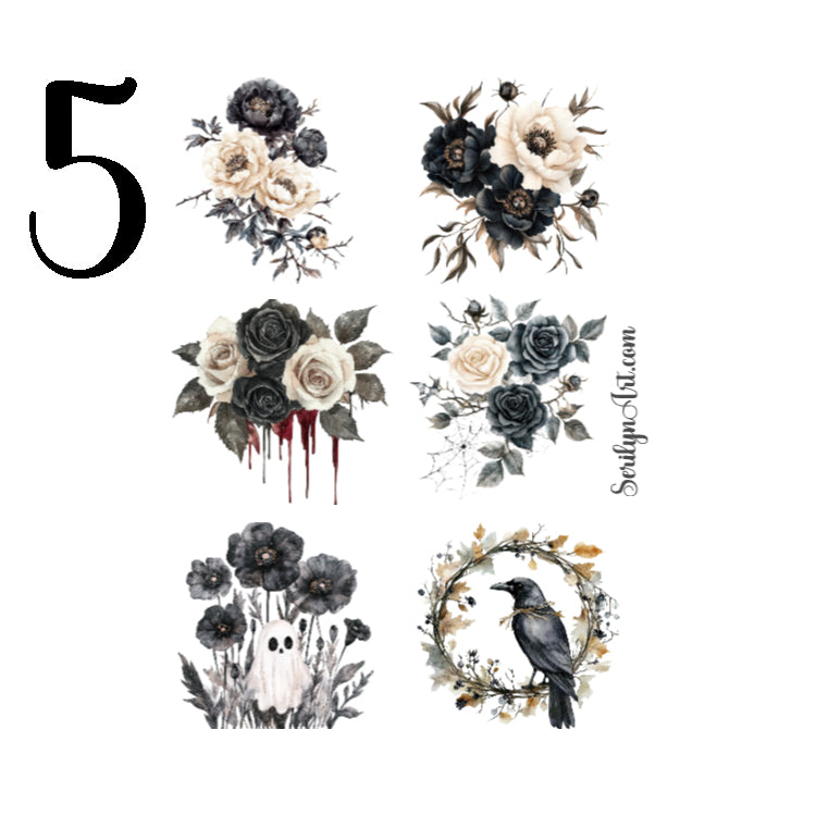 Spooky Halloween Collection