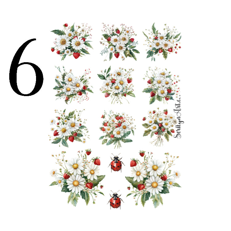 Strawberries and Cream Collection