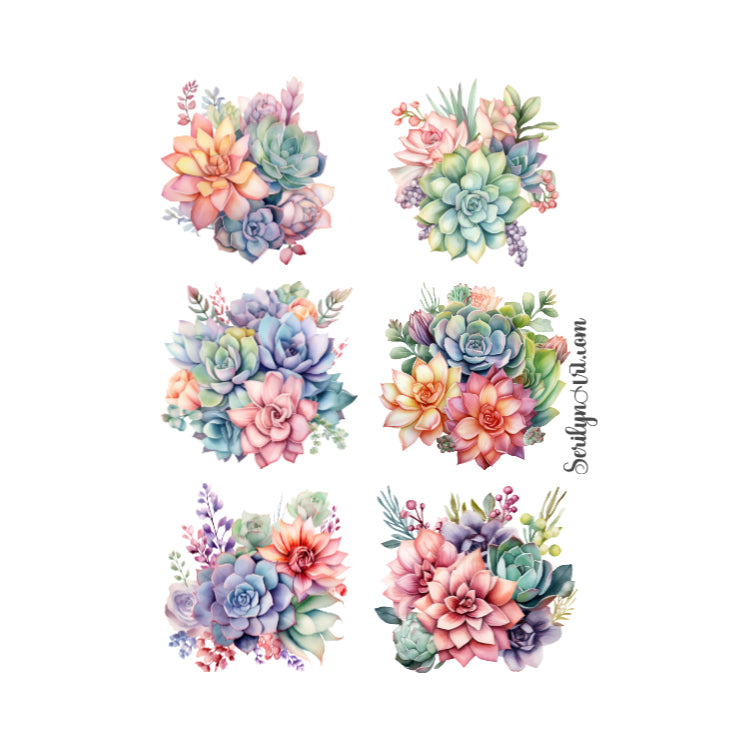 Succulent Bundles Sticker Sheet