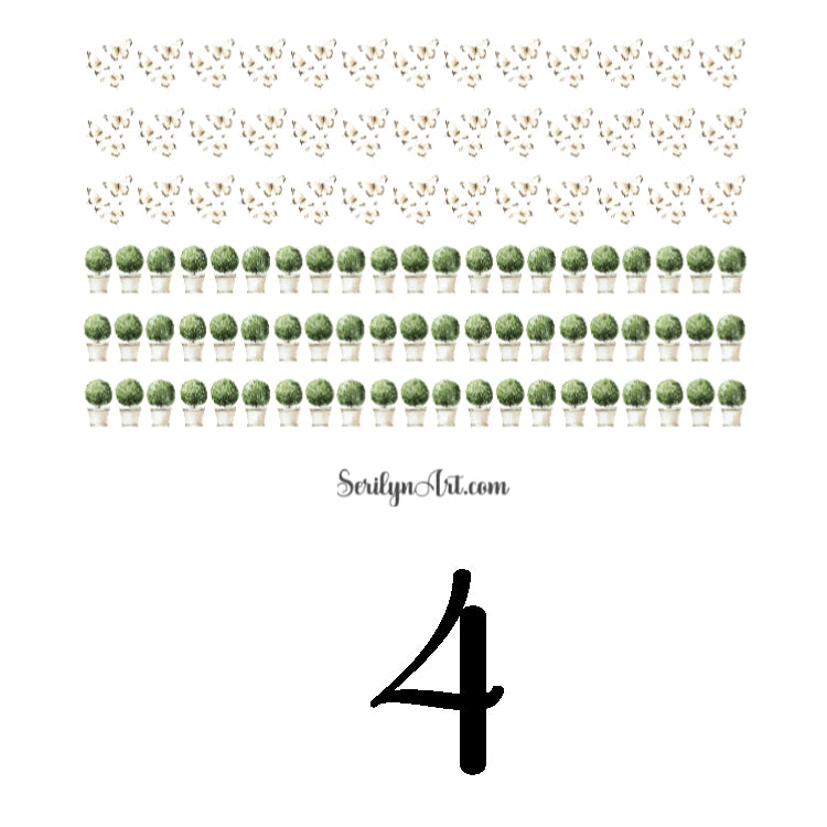 Summer Chateau Collection