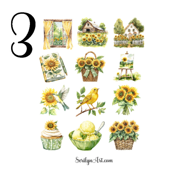 Sunny Days Collection