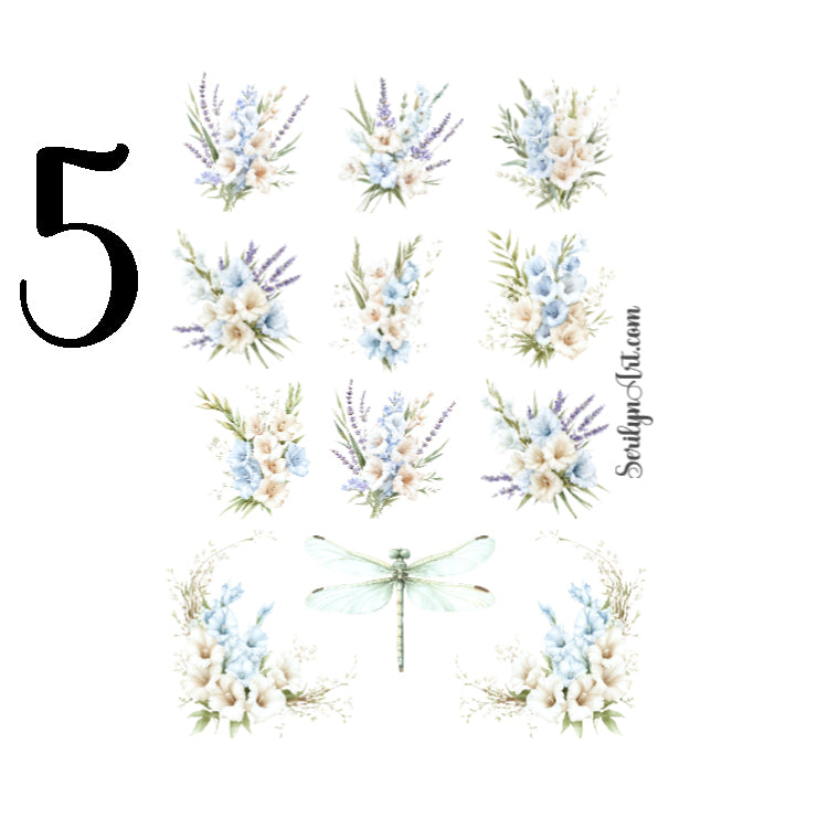 Valley Stories Collection