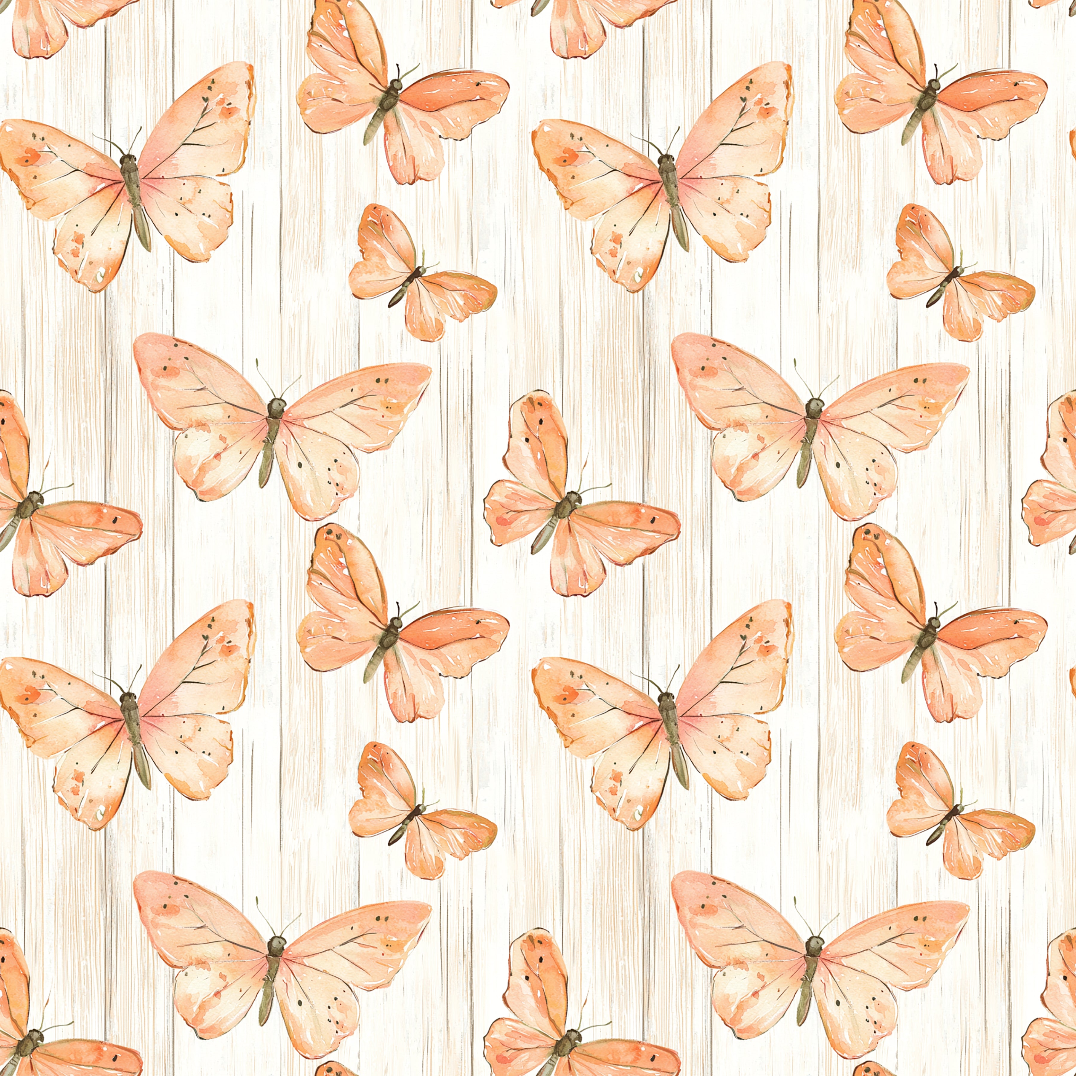 Valley Stories Collection