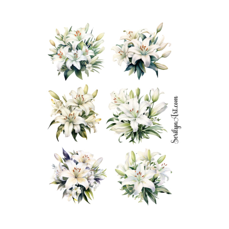White Lillies Sticker Sheet