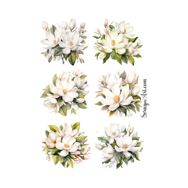White Magnolias Sticker Sheet