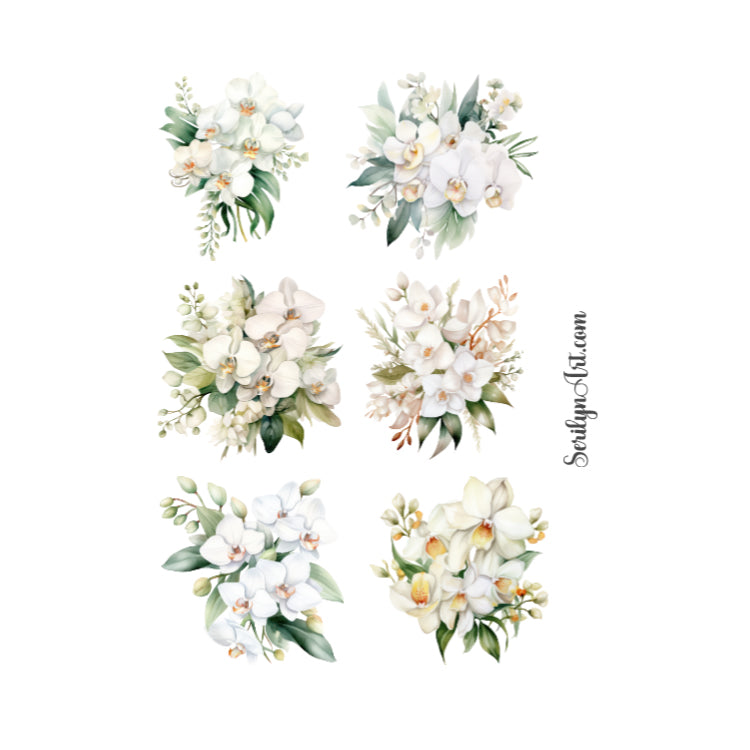 White Orchids Sticker Sheet