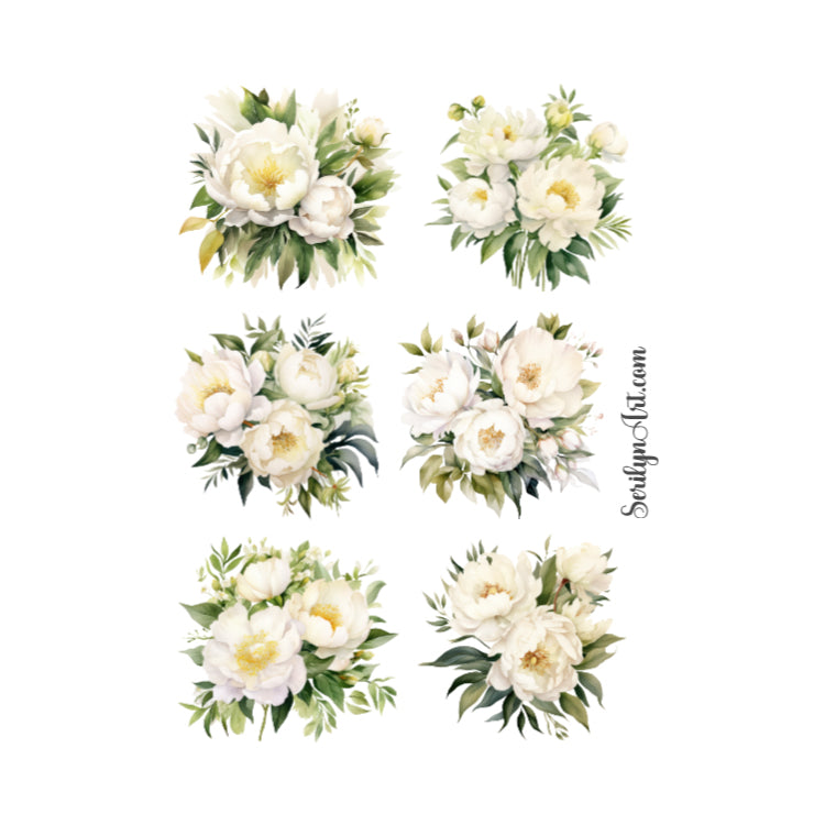 White Peonies Sticker Sheet