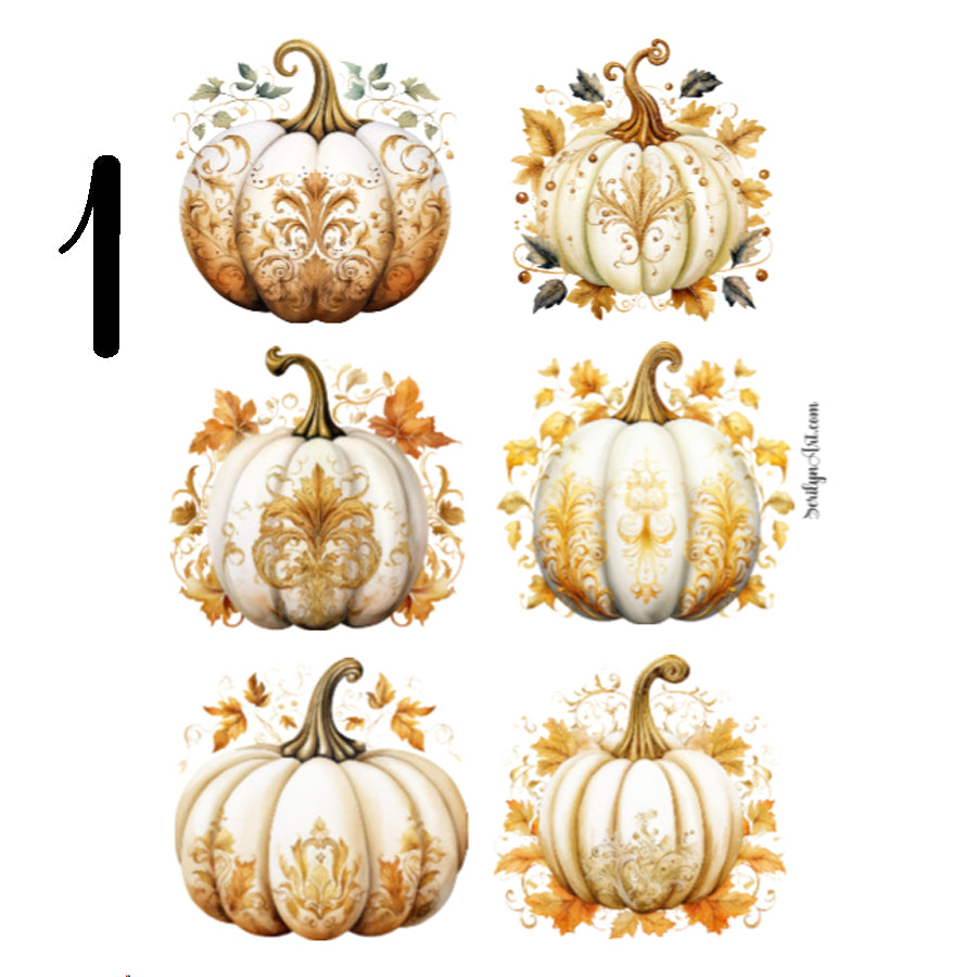 White Pumpkins Sticker Sheet
