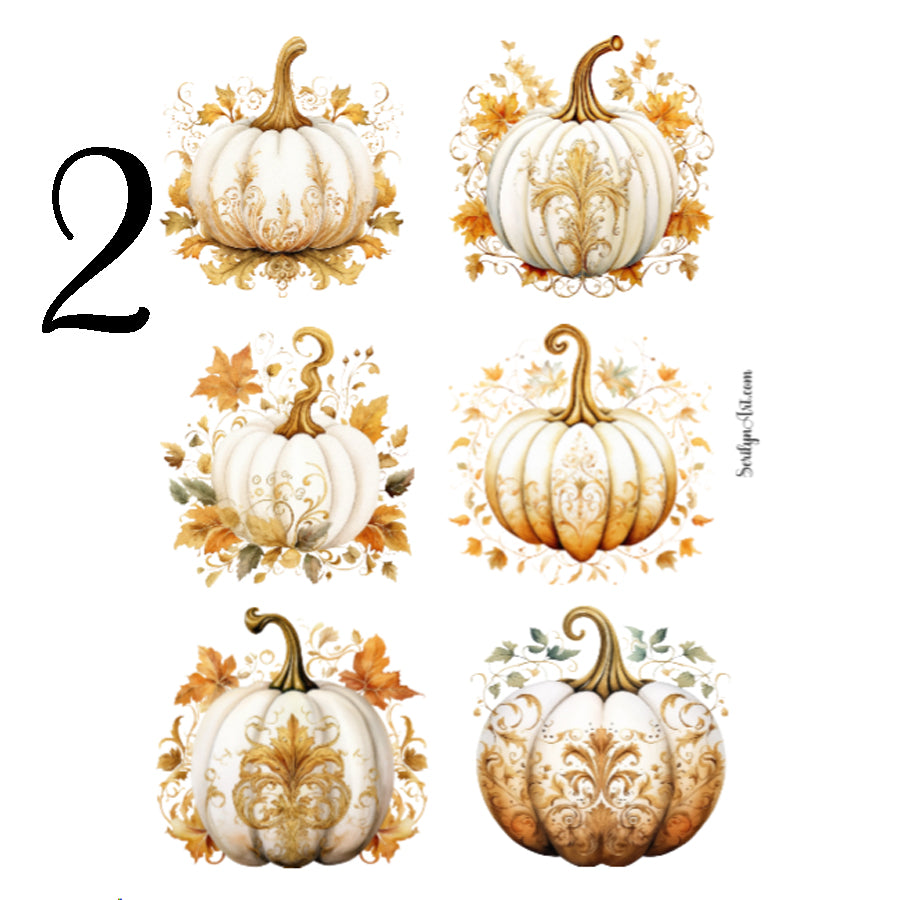 White Pumpkins Sticker Sheet