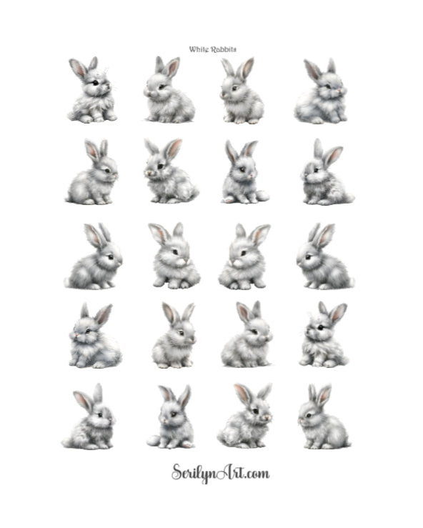 White Rabbits