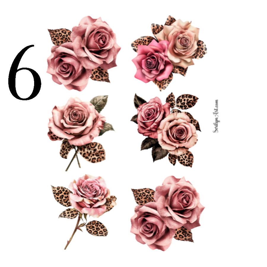 Wild Love Collection