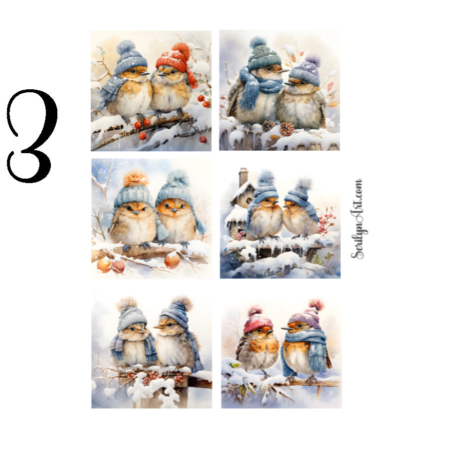 Winter Birds Sticker Sheet