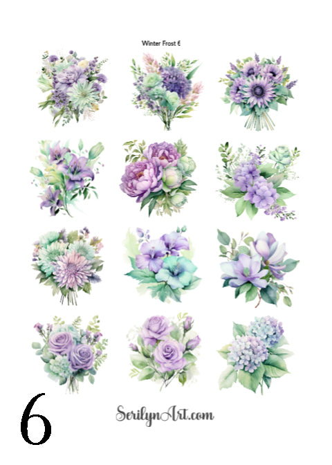 Winter Frost Collection