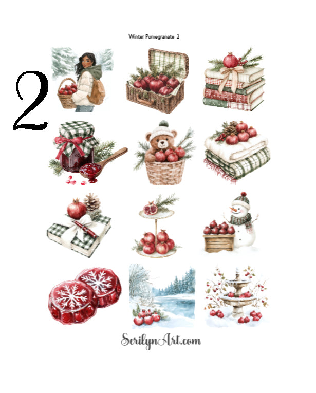 Winter Pomagranate Collection