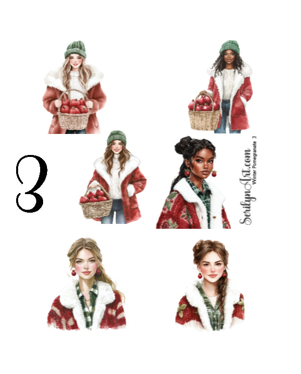 Winter Pomagranate Collection