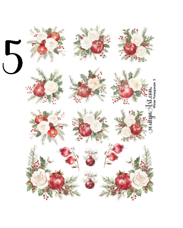 Winter Pomagranate Collection